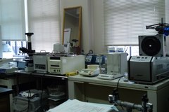 ゼミの実験室.JPG