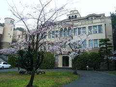 音楽館前の桜.JPG